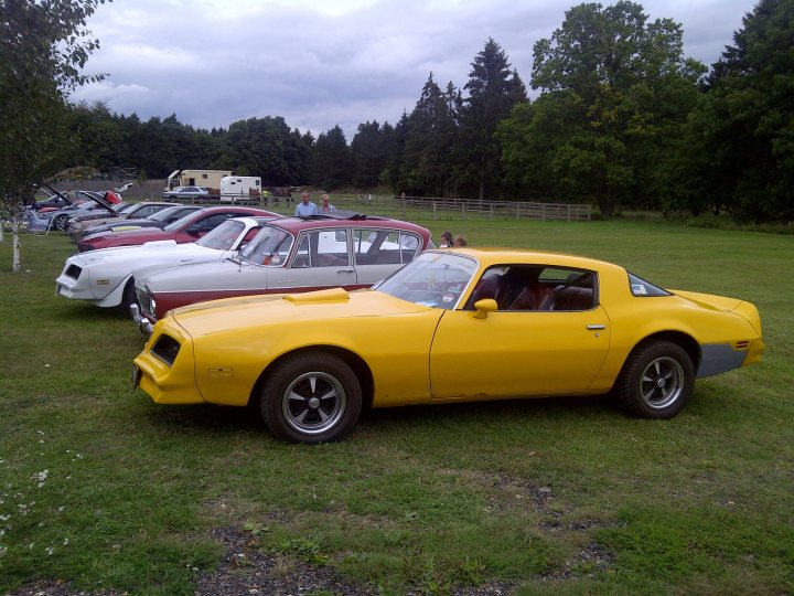 Pistonheads - This image showcases an outdoor car show set in a lush, grassy field. The vehicles are neatly arranged in a row, facing the viewer, with various models and colors. The day appears to be clear with the tops of the cars visible, suggesting a leisurely day at the show. There are also several people scattered throughout the scene, likely attendees, adding a lively atmosphere to the event. The focus of the image is clearly on the cars and the gathering of people surrounding them.