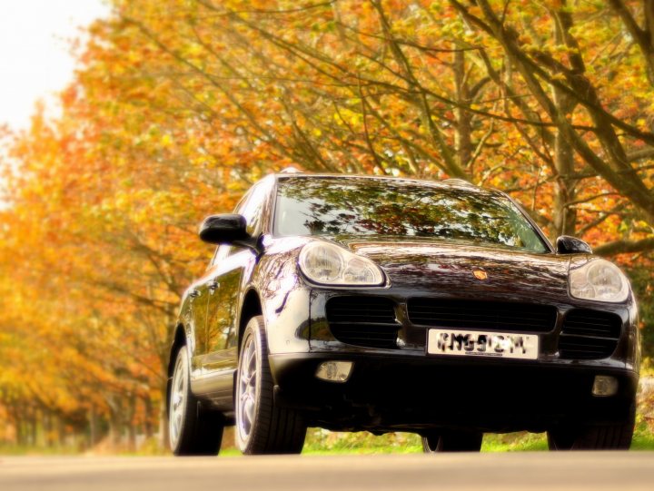 My new old Cayenne - The image depicts a car parked beside a road bordered by trees with yellow leaves, suggesting the fall season. The car is dark in color, possibly black or deep red, and appears to be an SUV. A plate with a white background and black lettering is visible on the front. The sun seems to be casting playful shadows on the car and the ground, creating a warm and inviting atmosphere. The overall scene feels serene and picturesque.