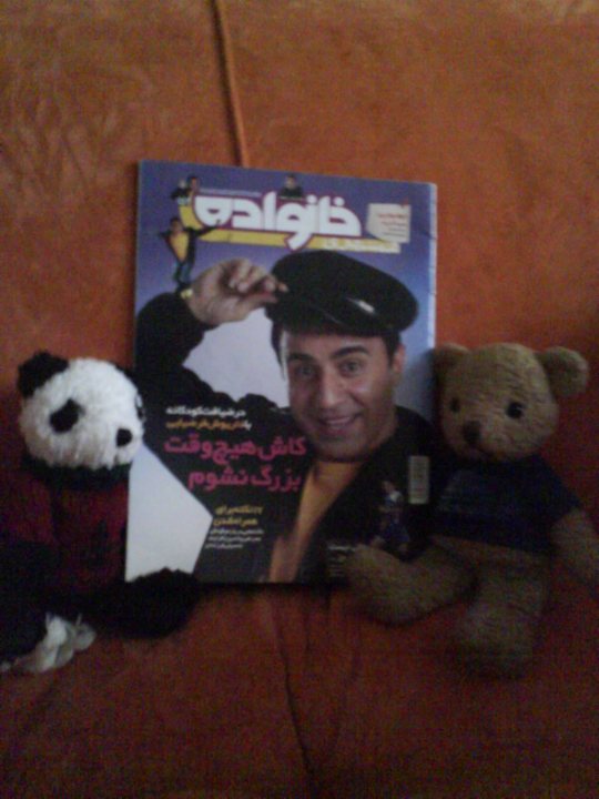 Bear Magazine Toy