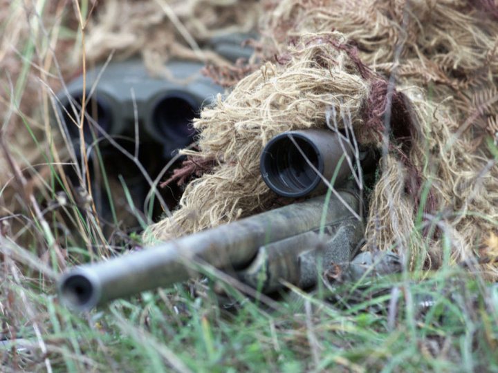 Shrub Pistonheads Human - The image showcases a close-up view of a weapon with its barrel pointing towards the right. The weapon is obscured by a pile of bluish hay, which covers it almost completely. The hay appears to be in good condition and is densely packed, giving an impression that the incident has been sudden or unexpected. One can see some metal components peeking out from beneath the hay, indicating that the weapon is indeed a rifle. The setting seems to be outdoors, possibly in a field or a clearing, as suggested by the blurred background.