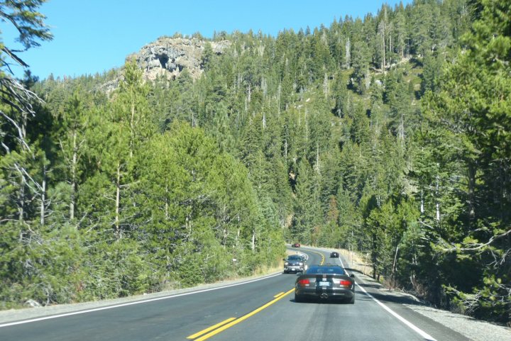 A car driving down a road next to a forest - Pistonheads - The image shows a two-lane road, one in each direction, winding its way through a forested area. The road is bordered by tall coniferous trees on both sides, providing a canopy of green. In the distance, a rocky bluff or cliff rises above the road, adding a sense of depth and scale to the scene. The road appears to be a highway due to its wide expanse and clear markings. The sky is blue, suggesting a fair weather condition.