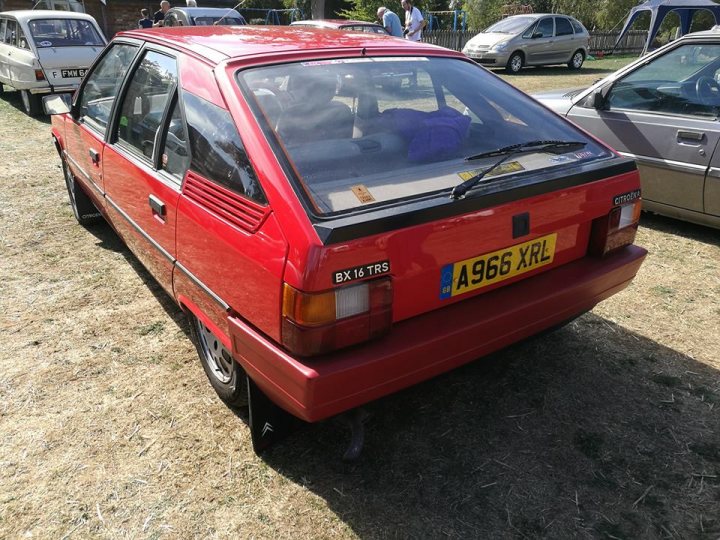1983 Citroen BX 16TRS - For the love of cars! - Page 1 - Readers' Cars - PistonHeads