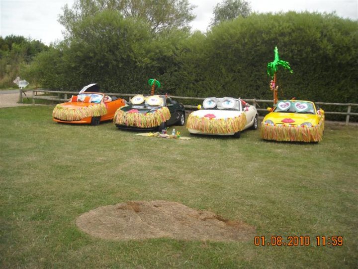 Pistonheads - The image portrays three vehicles with creative and playful decorations sitting outdoors on a flat area with grass. The car on the far left has a large bumble bee motif attached to its roof. The middle vehicle is designed to resemble a cockatoo, perched on a fake palm tree. The car on the right is decorated to look like a big brain. The space between the cars is rather clear except for items on the ground such as bottles and a small object that might be balloons or decorations. The scene captures a sense of fun and celebration, possibly a car-themed event or gathering.