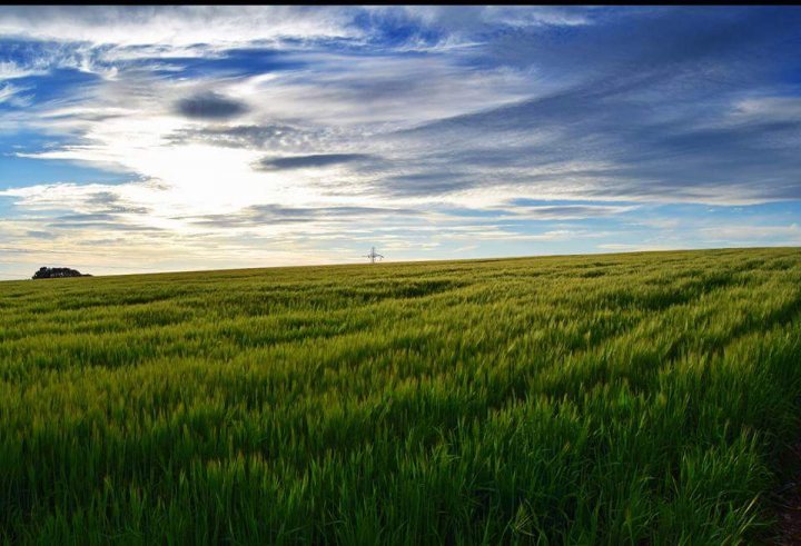 Random Photos : Part 4 - Page 211 - Photography & Video - PistonHeads - The image depicts a vibrant scene of a pastoral landscape. Dominating the foreground is a vast field adorned with tall grass, predominantly green in color and likely representing a corn or wheat crop in the midst of growth. The horizon, in the distance, is punctuated by a quaint, if somewhat dark building, possibly a barn or farmhouse, suggesting a rural setting.

Above, the sky, also in shades of green, possibly due to an artistic filter or natural phenomenon, extends to meet a radiant sun that is positioned directly over the horizon. The sun's path indicates sunrise or sunset, adding a warm glow to the scene.

The sky, though painted in darker hues, appears partly cloudy, with the clouds' darker color contrasting against the vibrant sun. These elements collectively lead one's eye to wander across the image, creating a sense of openness and serenity.