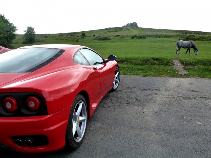 Isle of Arran in the Sunshine... - Page 1 - Supercar General - PistonHeads - The image showcases a vibrant red Ferrari car parked on the side of a road. The car's shiny surface reflects the overcast sky above. The road itself adds a practical element to the scene, contrasting with the high-end nature of the luxury vehicle. In the distance, beyond the car, a peaceful rural scene unfolds. A few cows and a couple of horses can be spotted grazing in a lush green field under the gray sky. The landscape not only provides a serene backdrop to the scene but also highlights the car's striking color and sleek design. The juxtaposition of the modern Ferrari with the traditional rural setting creates an interesting visual dynamic. Over all, the image captures a moment of tranquility and luxury amidst nature's beauty.