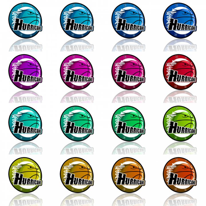 Hurricane Logo Team Basketball Colors