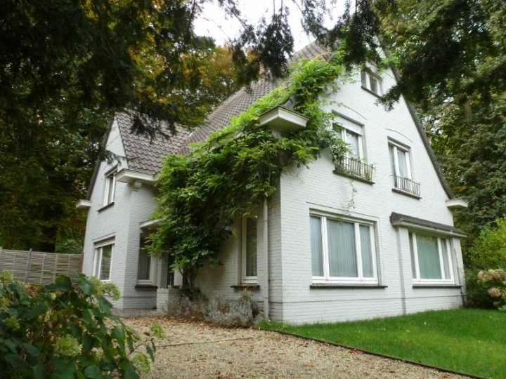 A white house with a house in the background - Pistonheads - The image shows a two-story residential building with a white facade. The house's design is traditional with a pitched roof, and it features multiple windows. A green ivy vine is climbing up the front side of the house, partially covering the upper section of the building. The house has a small porch on the ground floor. In front of the house, there is a well-maintained lawn and a driveway with gravel, while the surrounding area is lush with trees.