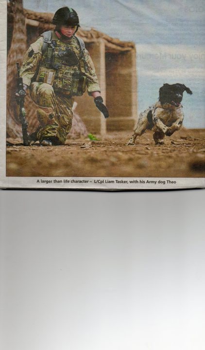 Dusty Pistonheads Office - The image features a soldier and a dog, indicative of a real-life situation within the context of a newspaper article. The soldier, clad in a camouflage uniform and carrying a large rifle, is stooped by the side of a dilapidated building, gesturing at the ground. His attention is directed toward the bricked road running parallel to the footprint of the building. A dog, notably light in color and large in size, stands alert on this road, its body poised as if ready to follow a command. The soldier and the dog are both situated on the left side of the photo, which is divided by a line into two distinct halves, creating a sense of balance in the composition.