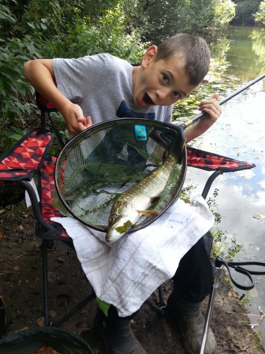 Starting fishing... - Page 1 - Sports - PistonHeads - In the image, a young boy is sitting on a red and black folding chair by a fishing spot. He has a big grin on his face as he holds up a large fish he has just caught in a fish net. The boy appears to be overjoyed and proud of his catch, which is quite substantial as it reaches across the width of the net. The fishing spot seems to be next to a body of water that might be a lake or a slow-moving river, given the tranquil surroundings and the boy's relaxed posture. The overall atmosphere of the image is one of excitement and achievement, capturing a moment of joy in outdoor recreation.