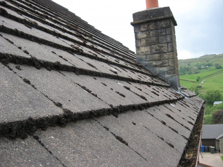 Roof Moss - is it worth having it removed? - Page 1 - Homes, Gardens and DIY - PistonHeads