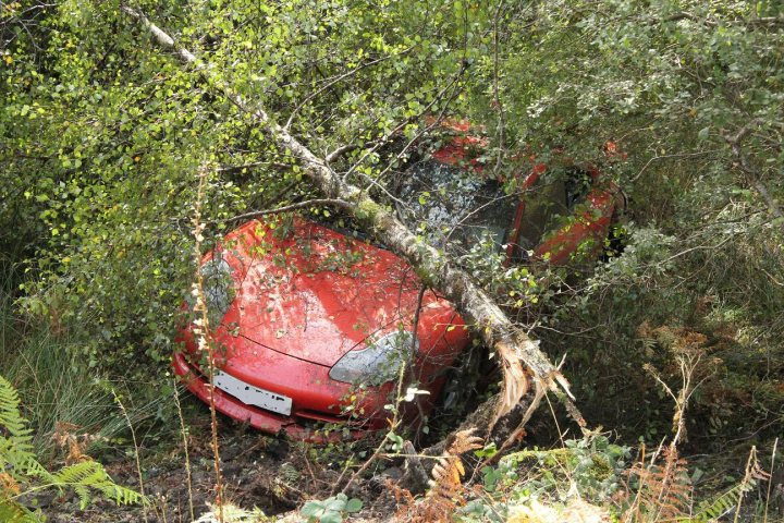 Highlands - Page 69 - Roads - PistonHeads - The image shows a crashed red car that is submerged in plants and bushes. A tree branch has fallen on top of the car, which is surrounded by foliage. The view is from an angle where the front of the car is partially obscured by the vegetation and the car's side is visible, with the windshield and front wheel encountered through the branches. The car's overturned position suggests it was in a collision, and the natural elements indicate that the crash occurred in a wooded or thickly vegetated area.