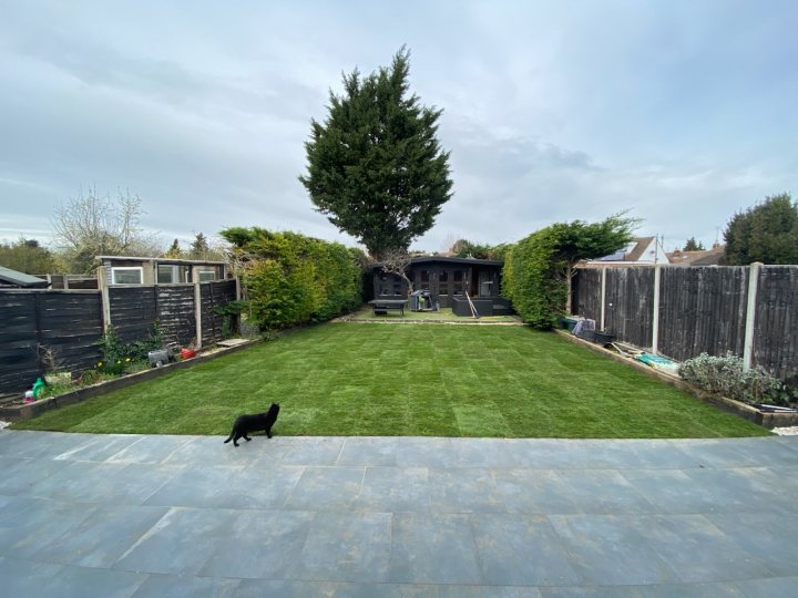 2023 Lawn Thread - Page 14 - Homes, Gardens and DIY - PistonHeads UK - The image shows a well-maintained backyard area. In the center of the scene, there's a grassy area with a neatly trimmed lawn, surrounded by a wooden fence. On the left side of the image, a large tree is visible, providing shade to the yard. A cat is sitting under this tree, looking towards the camera. To the right, there's a paved patio leading up to a black gate that closes off the backyard. The sky is overcast, and the overall impression is one of tranquility and orderliness in an urban residential area.