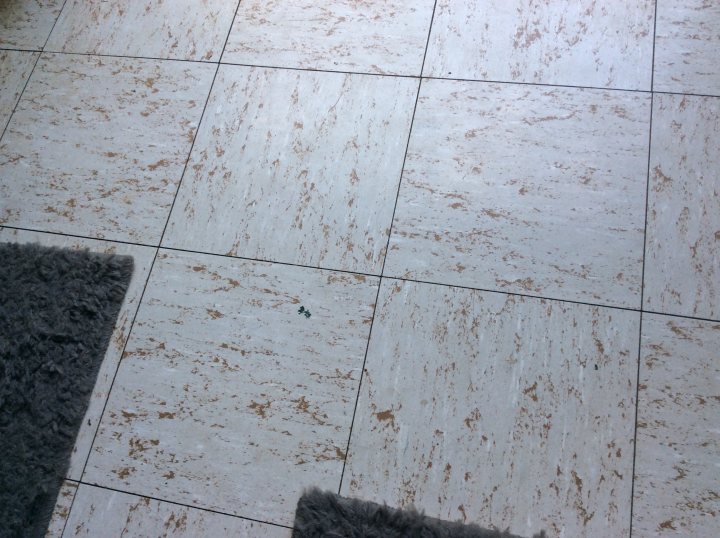 A black and white photo of a cat on a toilet - The image shows an interior space, likely a bathroom or kitchen, with a tile floor that is in need of cleaning. There are visible dirt and grime on the tiles, indicating that they have not been cleaned for some time. The tiles themselves are light-colored and appear to be of a porcelain or ceramic material. On the right side of the image, there's a small portion of a carpeted area, which seems to be in contrast to the tile floor. There is no visible text within the image that provides additional context about the setting or the condition of the tiles.