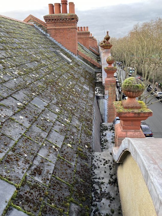 Removing Moss from Roof - Page 4 - Homes, Gardens and DIY - PistonHeads UK