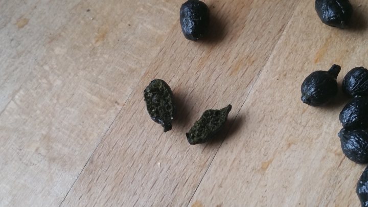 What were these in my lettuce? - Page 1 - Homes, Gardens and DIY - PistonHeads