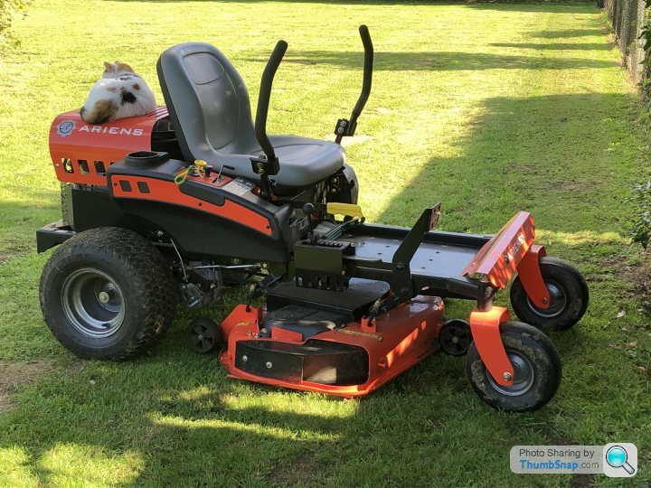 Advice on ride on mowers please Page 2 Homes Gardens and DIY