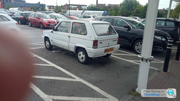 Fiat panda -  Italia