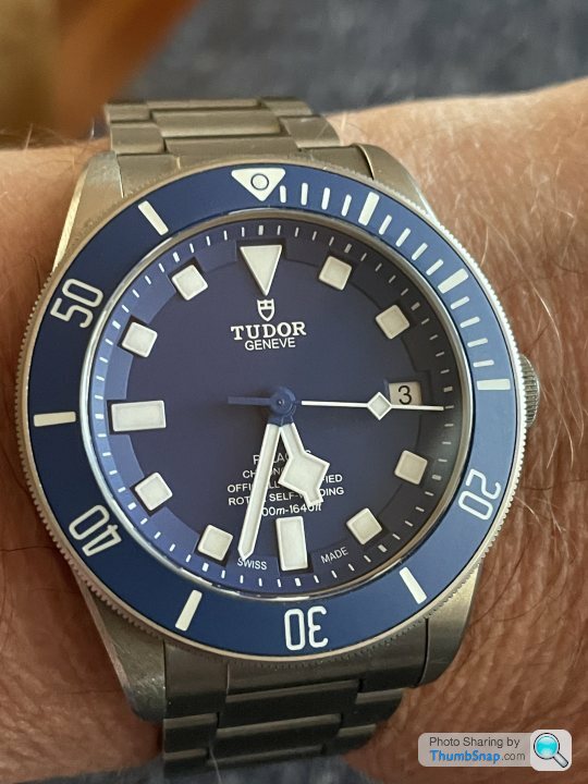 tudor pelagos lume fell out