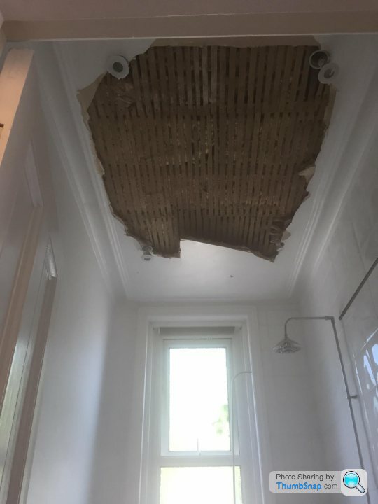 Plaster And Lath Ceiling Collapse, How To Fix A Collapsed Ceiling