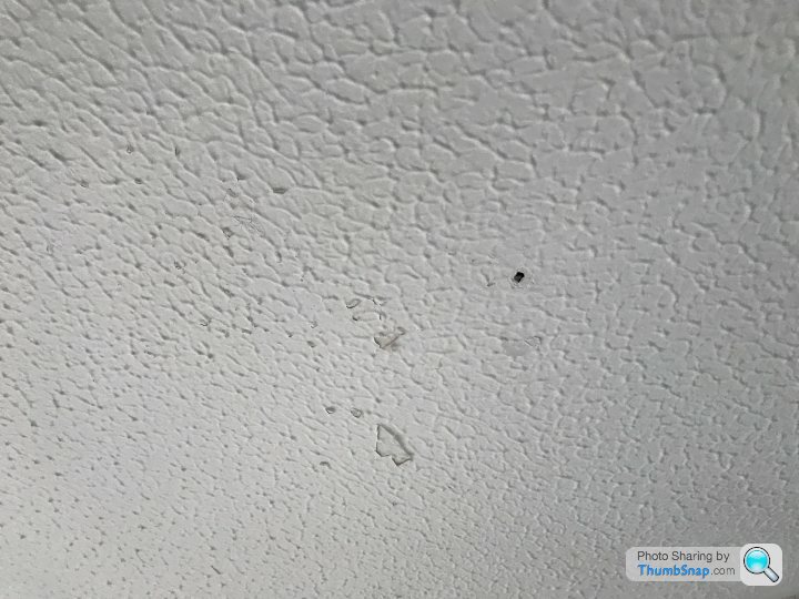 Painting My Ceiling Artex Rolled Off