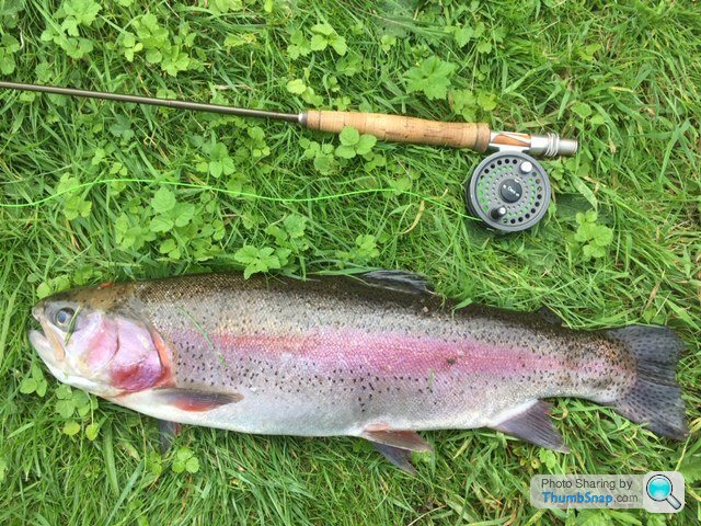 The Fly Fishing Thread - Page 30 - Sports - PistonHeads UK