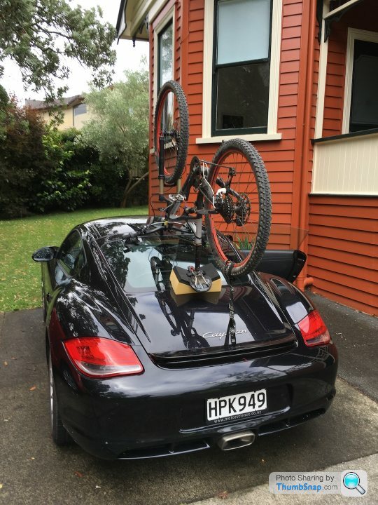 suction cup bike carrier