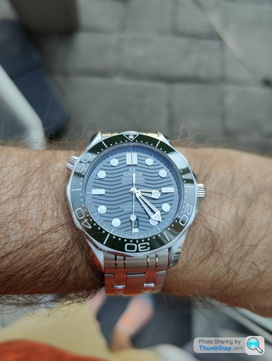 Seamaster on sale 300 39mm