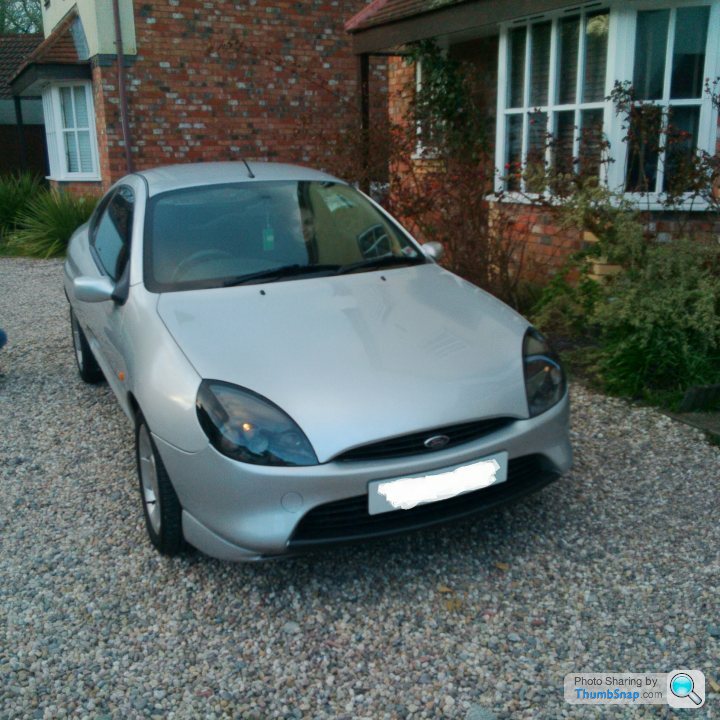 ford puma for sale pistonheads