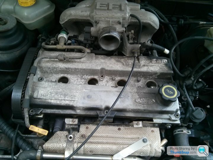 Ford fiesta 1.6 timing clearance belt change