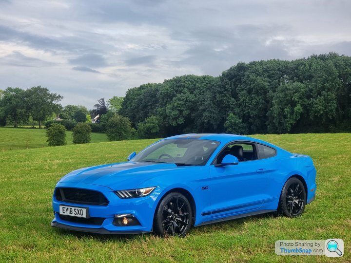 mustang driving circles around police car in parking lot｜TikTok Search