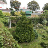 Neighbour cut neighbours hedge - liability? - Page 1 - Homes, Gardens and DIY - PistonHeads