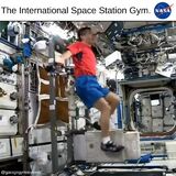 Working out in the International Space Station