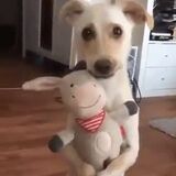 It's My Toy , Human