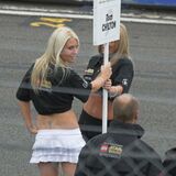 Grid Girls/Pit Babes (Vol 3)