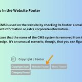 how to find the content management system of a website