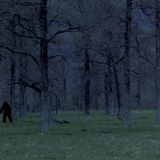 Movie cover image
