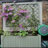Painting shed and fence, need some inspiration! - Page 1 - Homes, Gardens and DIY - PistonHeads