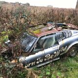 Classics left to die/rotting pics - Vol 2 - Page 185 - Classic Cars and Yesterday's Heroes - PistonHeads