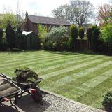 As per the current trend for lawn threads - Page 1 - Homes, Gardens and DIY - PistonHeads