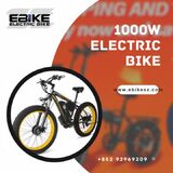 1000w Electric Bike