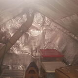 Foil loft insulation condensation  - Page 1 - Homes, Gardens and DIY - PistonHeads