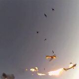 Both pilots, all 9 skydivers survive