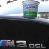 just bought a m3 CSL.  - Page 16 - M Power - PistonHeads