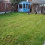 2016 Lawn thread - Page 14 - Homes, Gardens and DIY - PistonHeads