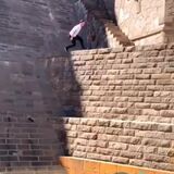 Man showing off his amazing parkour skills by wallrunning!