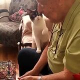 No, grandpa you need pats