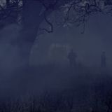Movie cover image