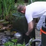 Allowing your fish to see the world around the pond
