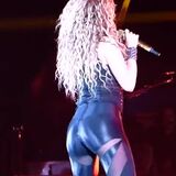 Shakira's insane ass