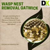 WASP Nest removal Gatwick